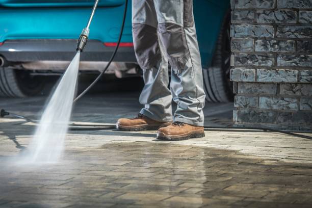 Best Soft Washing  in Viera West, FL