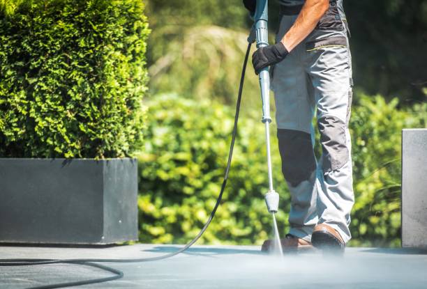 Best Graffiti Removal  in Viera West, FL